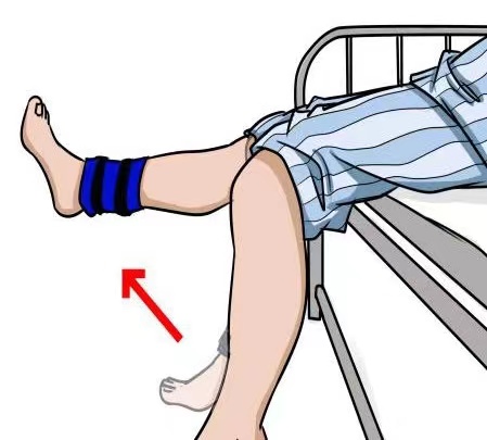 髖關節(jié)置換術后康復